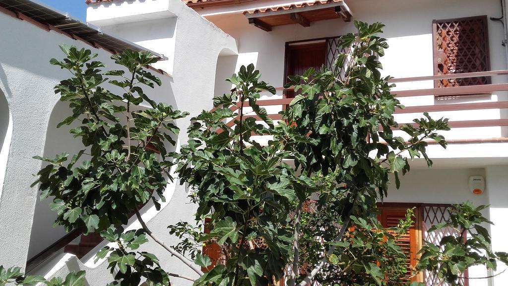 Villa Modus Vivendi Cinisi Bagian luar foto